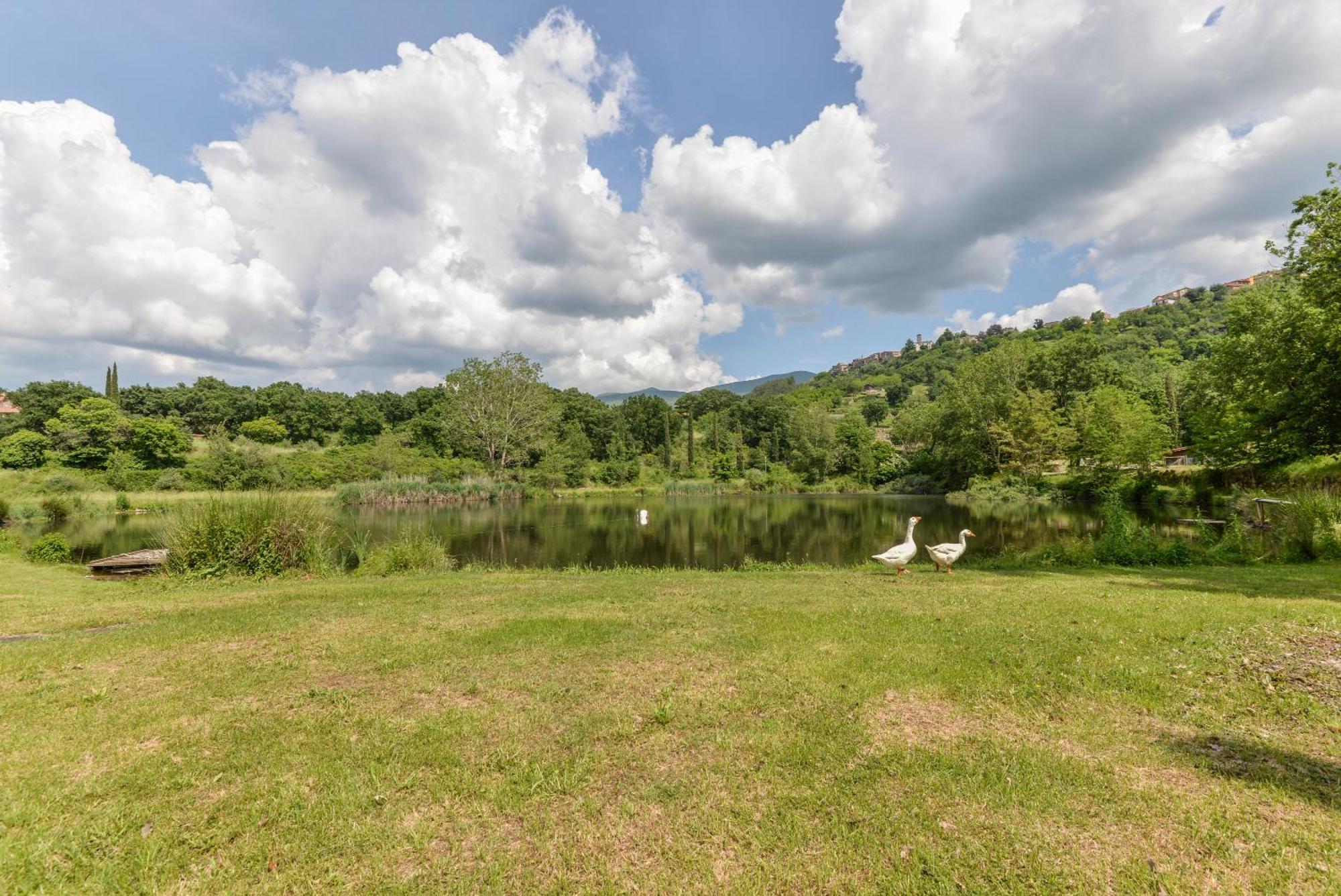 3 Charming Private Home With Pool, Bbq, Wi-Fi & Free Parking カステル・デル・ピアーノ エクステリア 写真